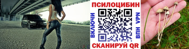 Галлюциногенные грибы прущие грибы  купить наркотик  Верхняя Салда 